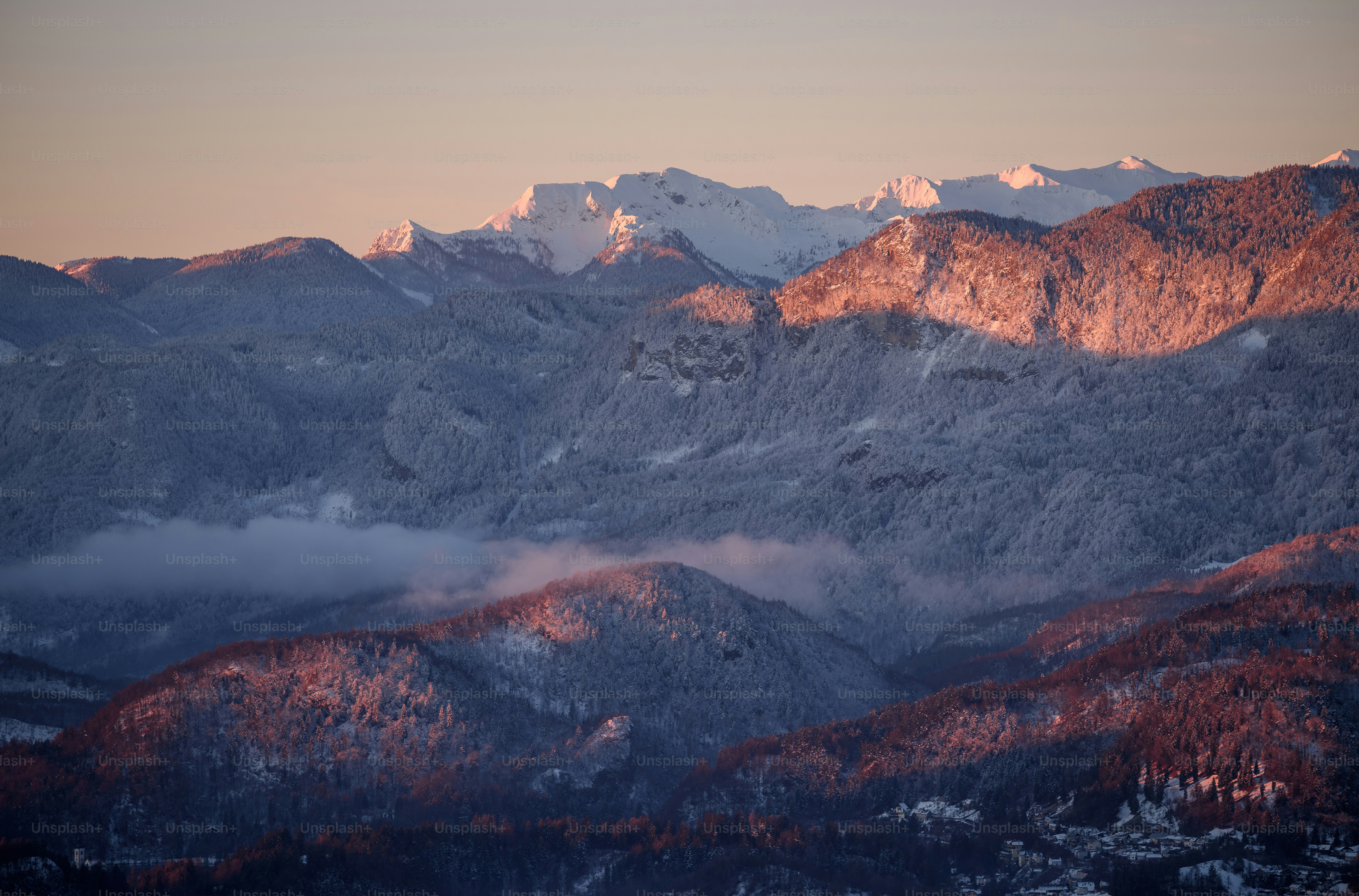 Winter forest on a peaceful sunrise after a fresh snow.