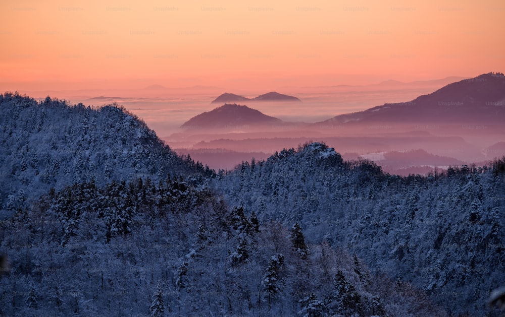 a landscape with trees and mountains in the background