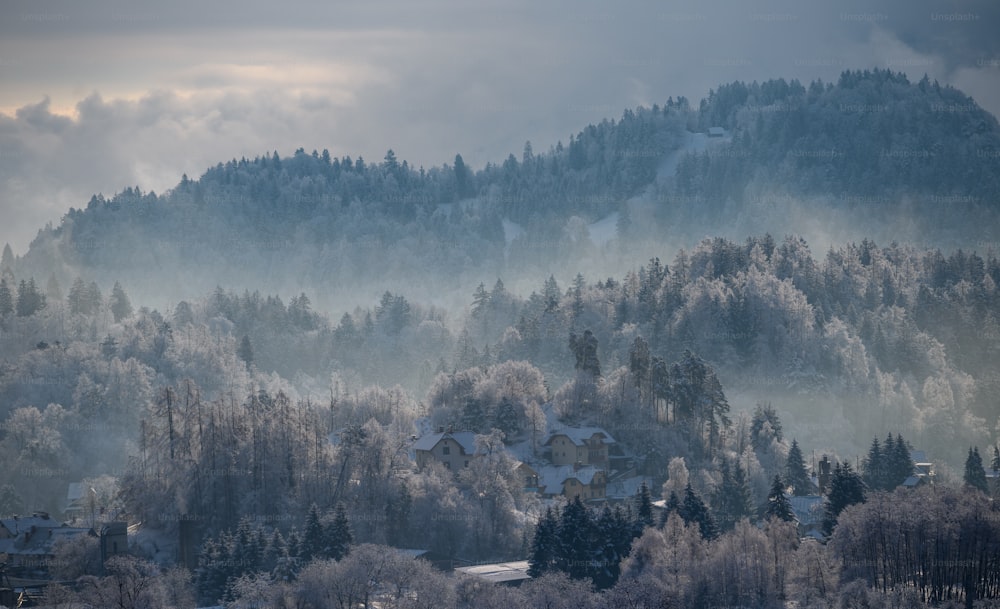 a snowy landscape with trees and houses