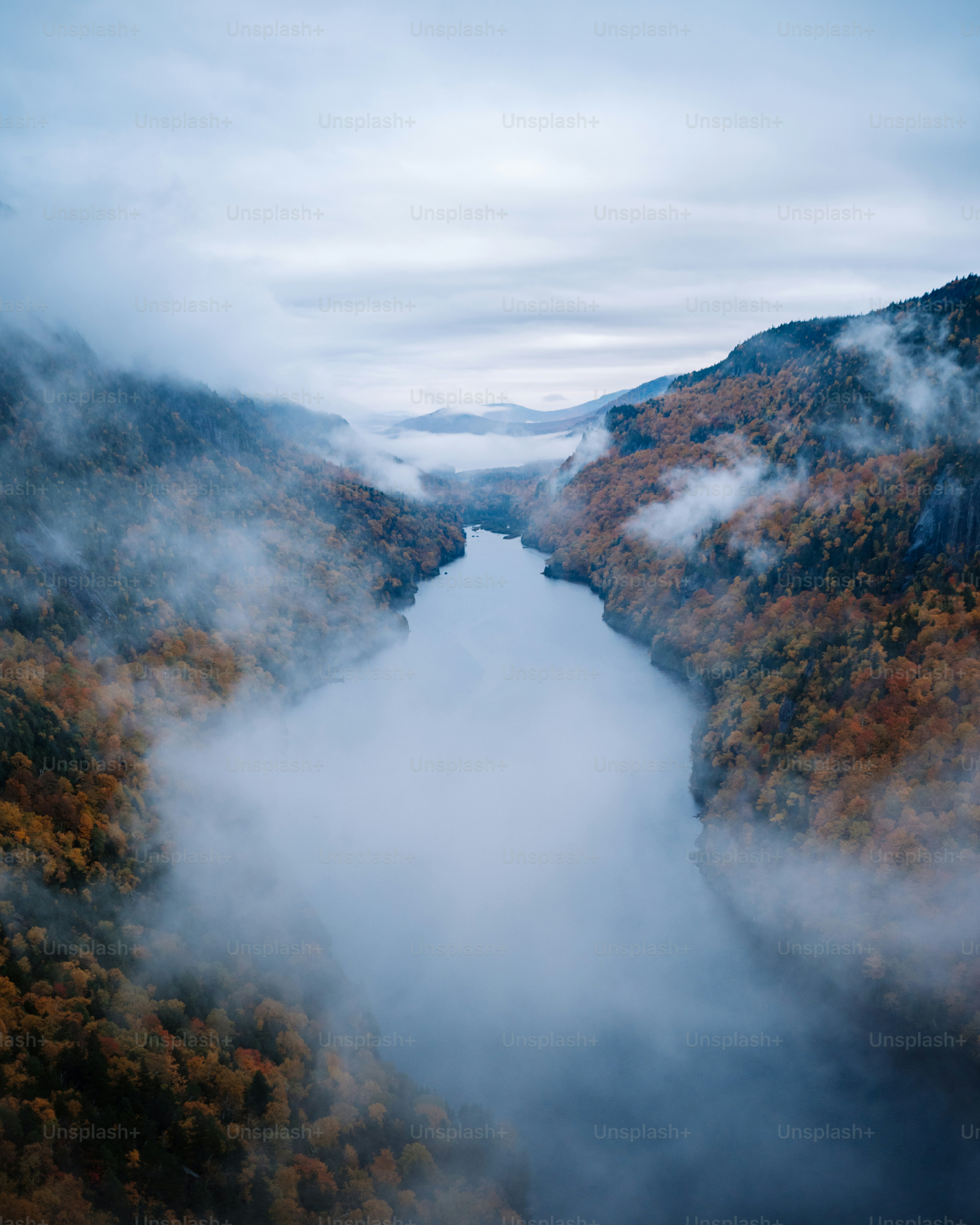 a foggy valley with trees and mountains