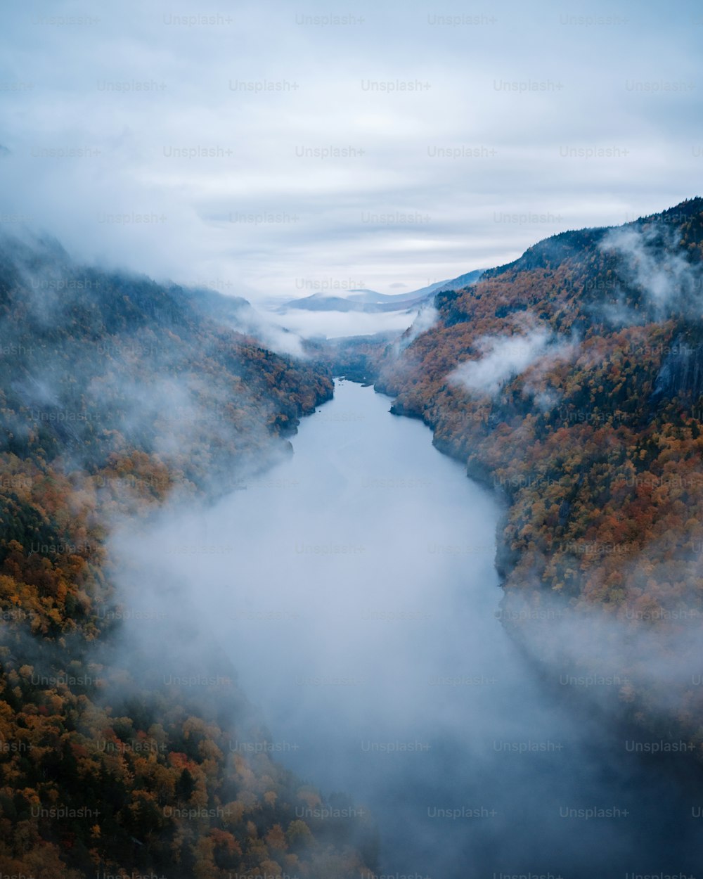 a foggy valley with trees and mountains