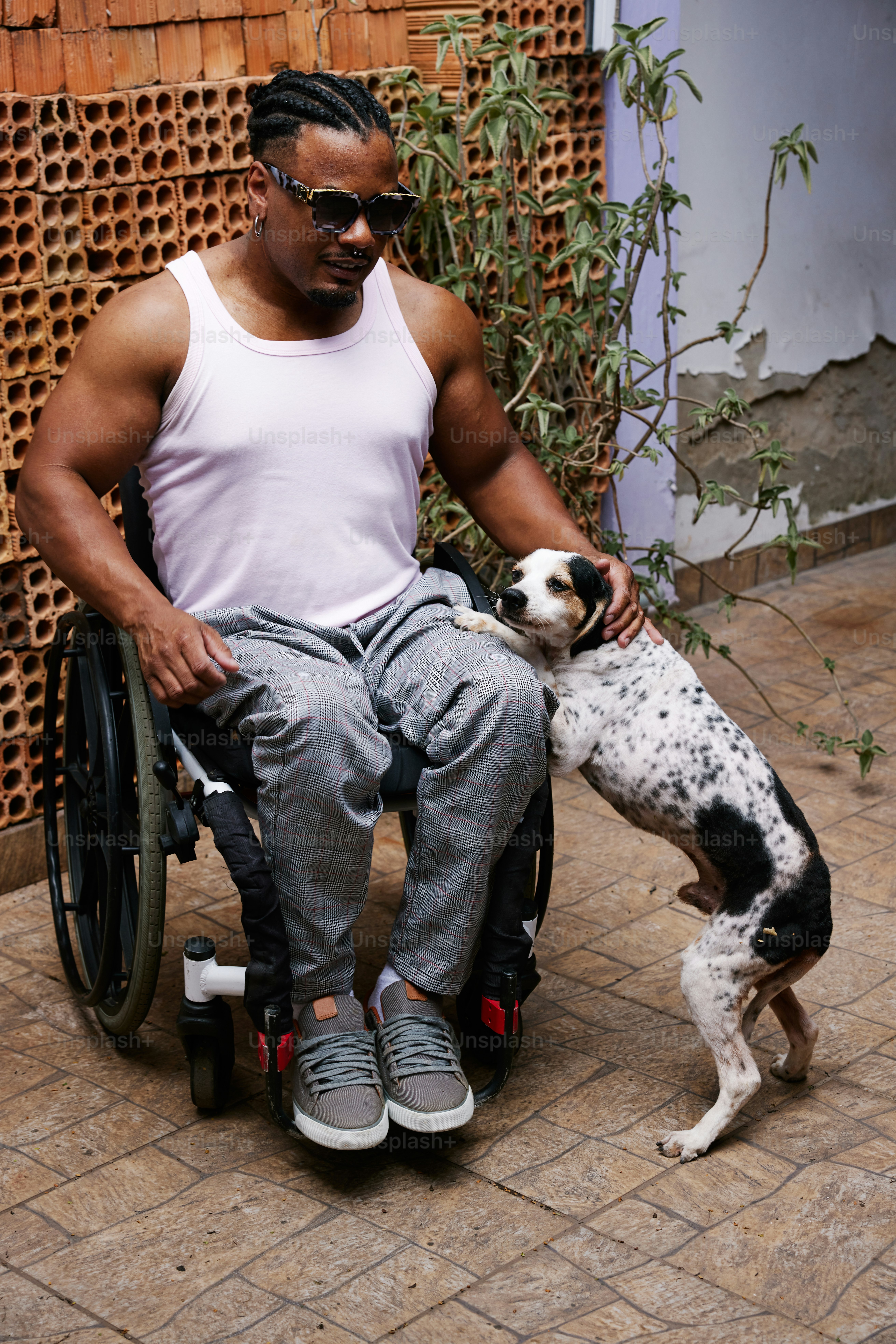 a man sitting in a wheelchair with a dog