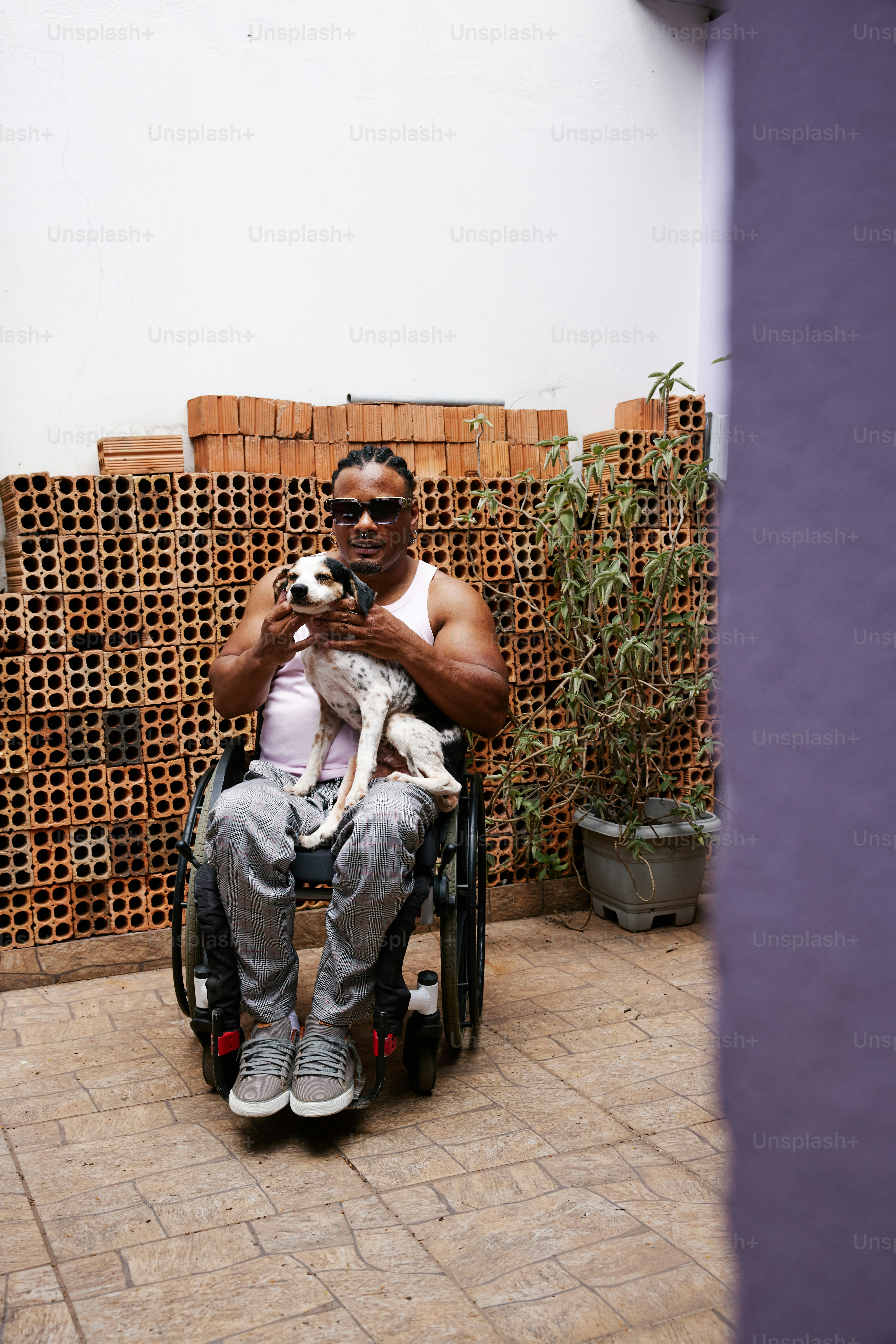 A man sitting in a wheelchair holding a dog photo – Canine Image on ...