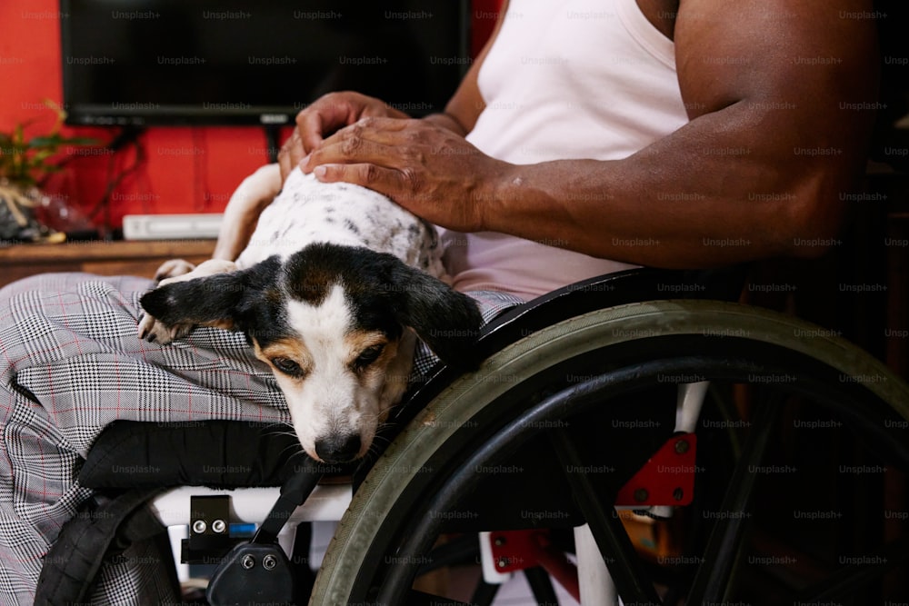 Un uomo in sedia a rotelle che accarezza un cane