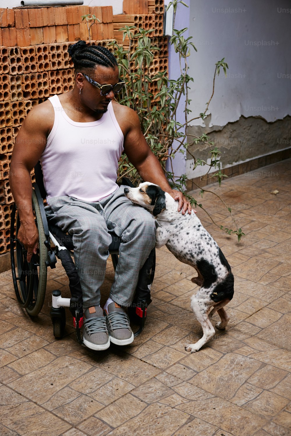 a man sitting on a wheelchair petting a dog