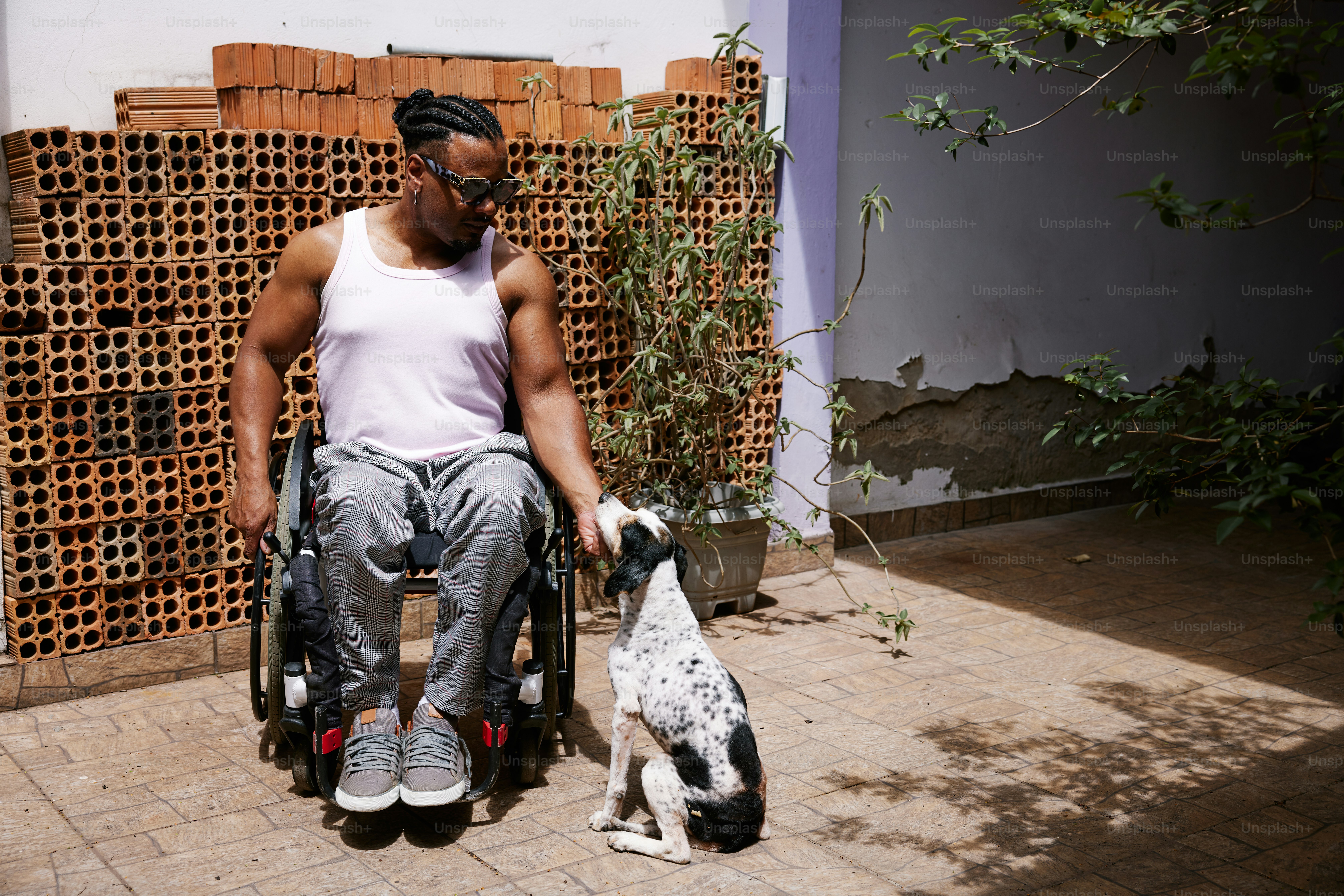 a person in a wheelchair petting a dog