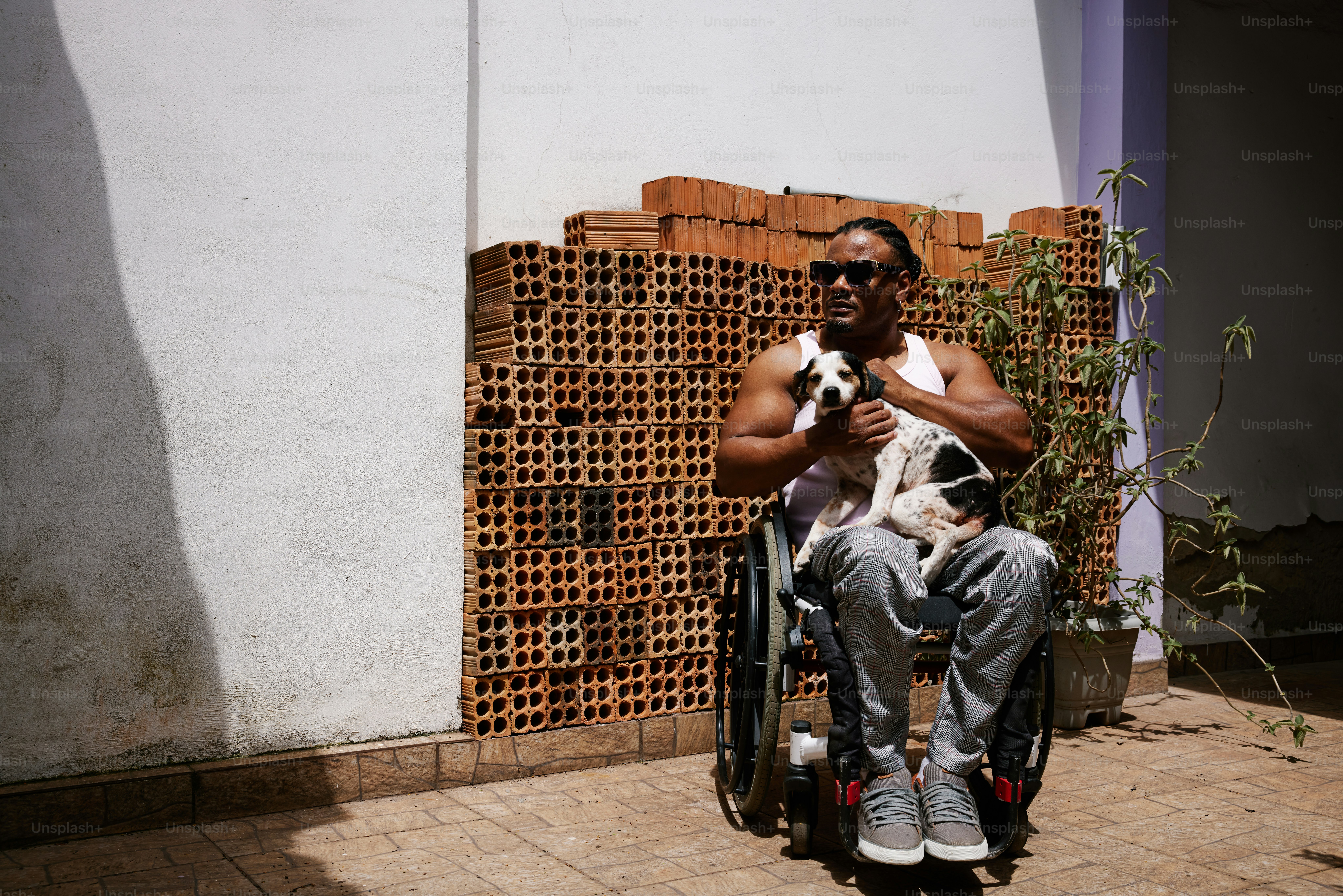 A man in a wheelchair holding a dog and a cat photo – Wheelchair Image ...