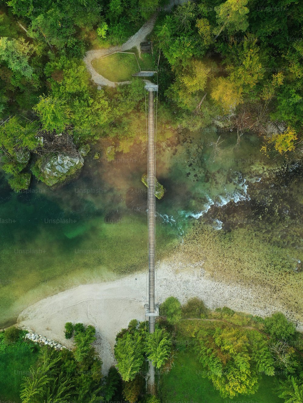 a street light in a forest