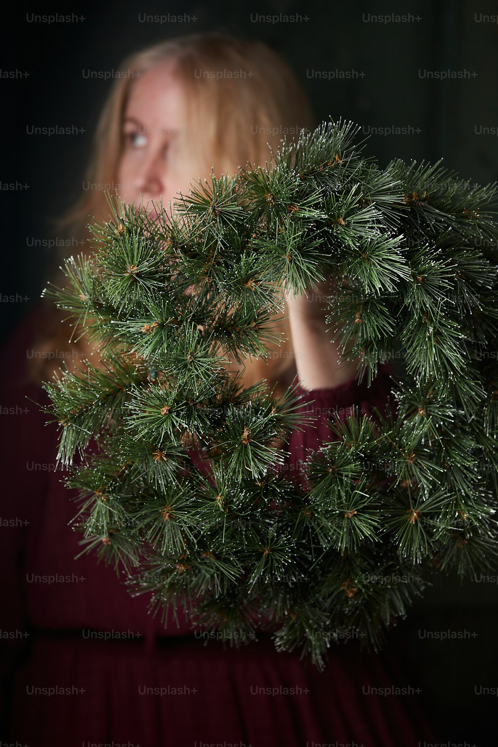 a person holding a tree