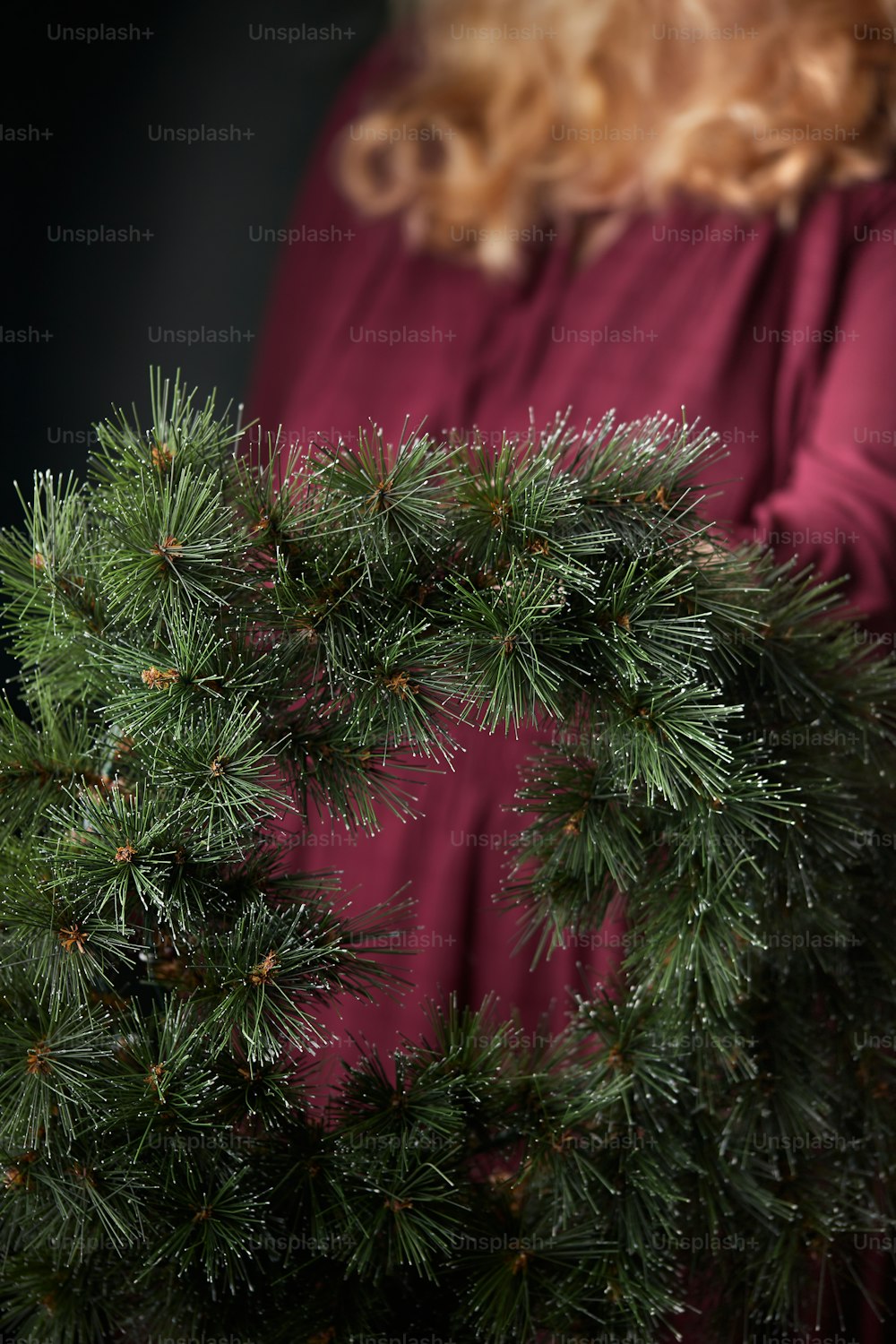 a close up of a person holding a pine tree