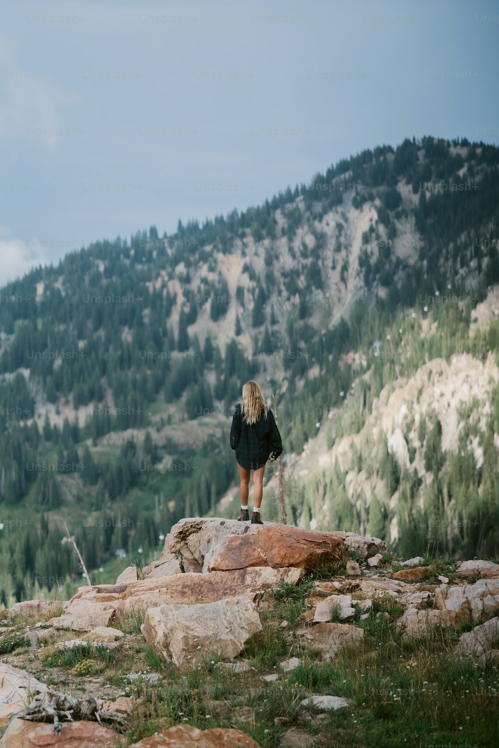 uma pessoa de pé em uma rocha com vista para uma floresta