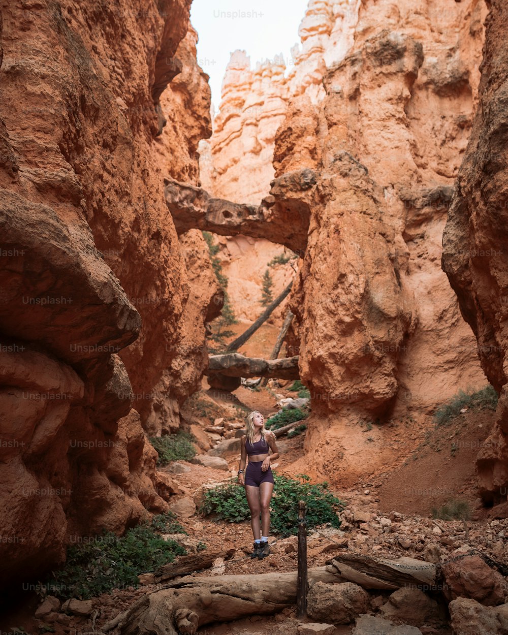 a person standing in a canyon
