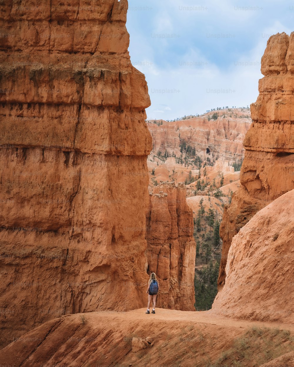 una persona in piedi in un canyon