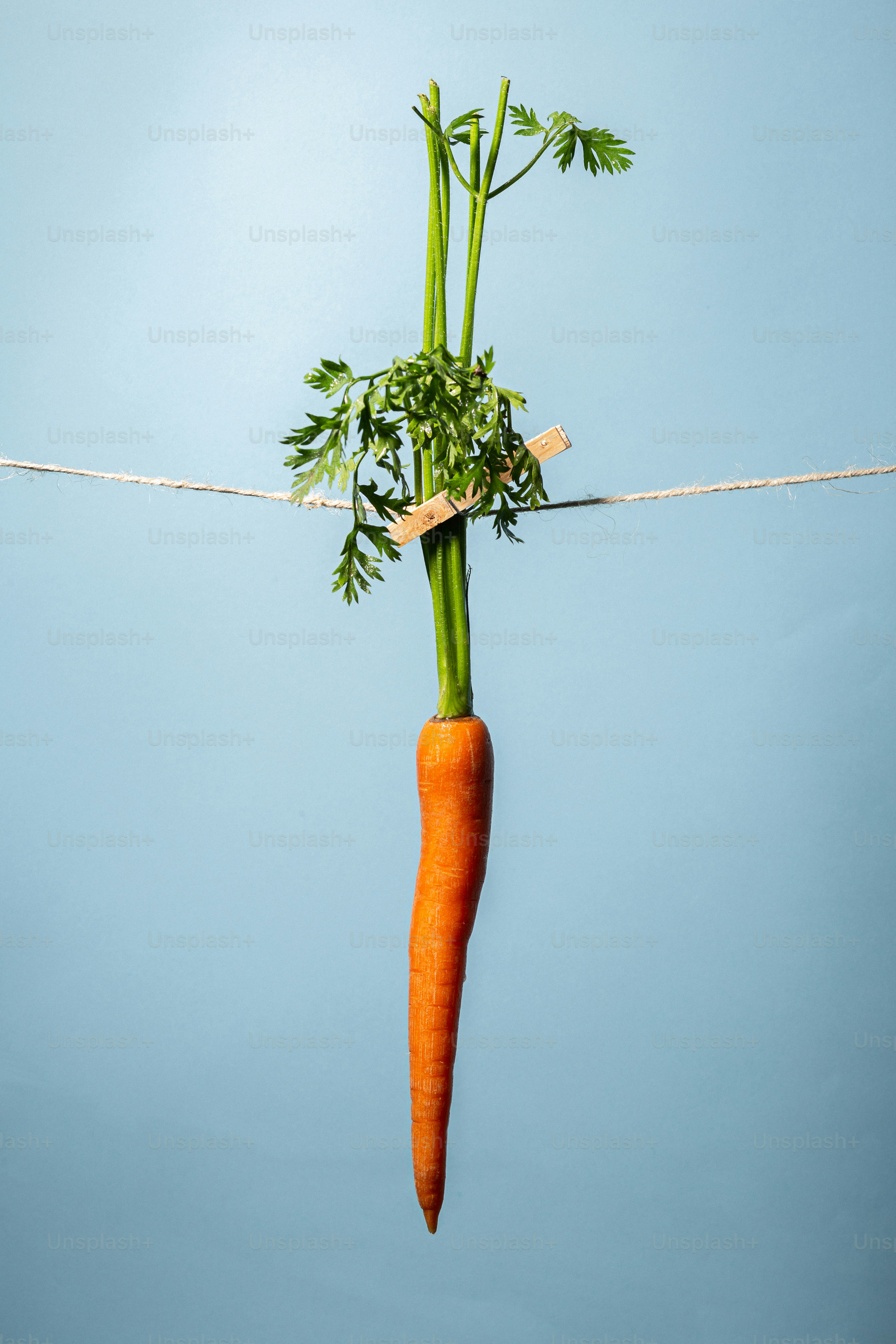 A carrot hanging on a clothesline with a clothespin