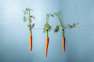 un groupe de carottes d’une ficelle
