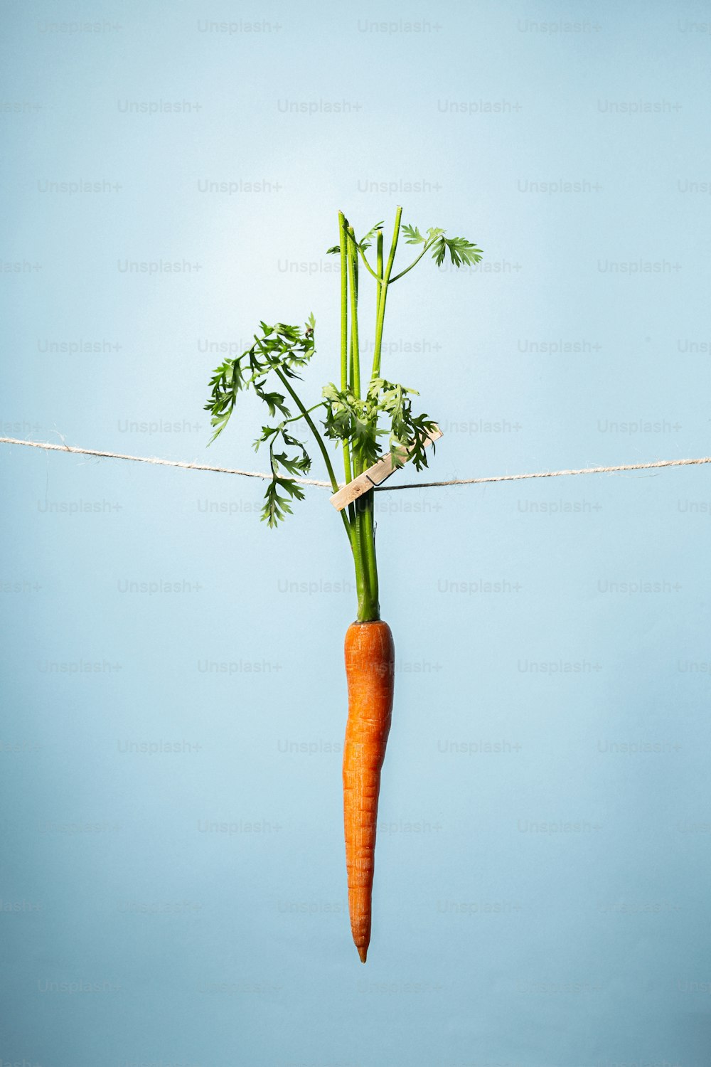 Eine Karotte aus einer Schnur