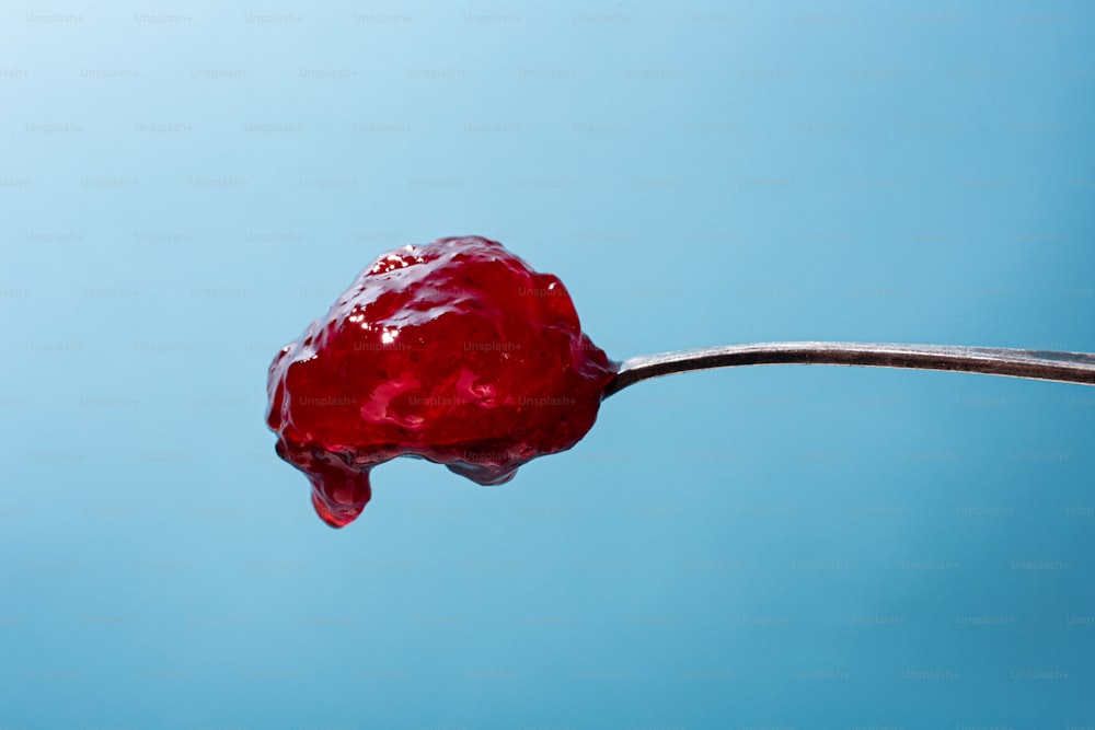 a red rose on a stick