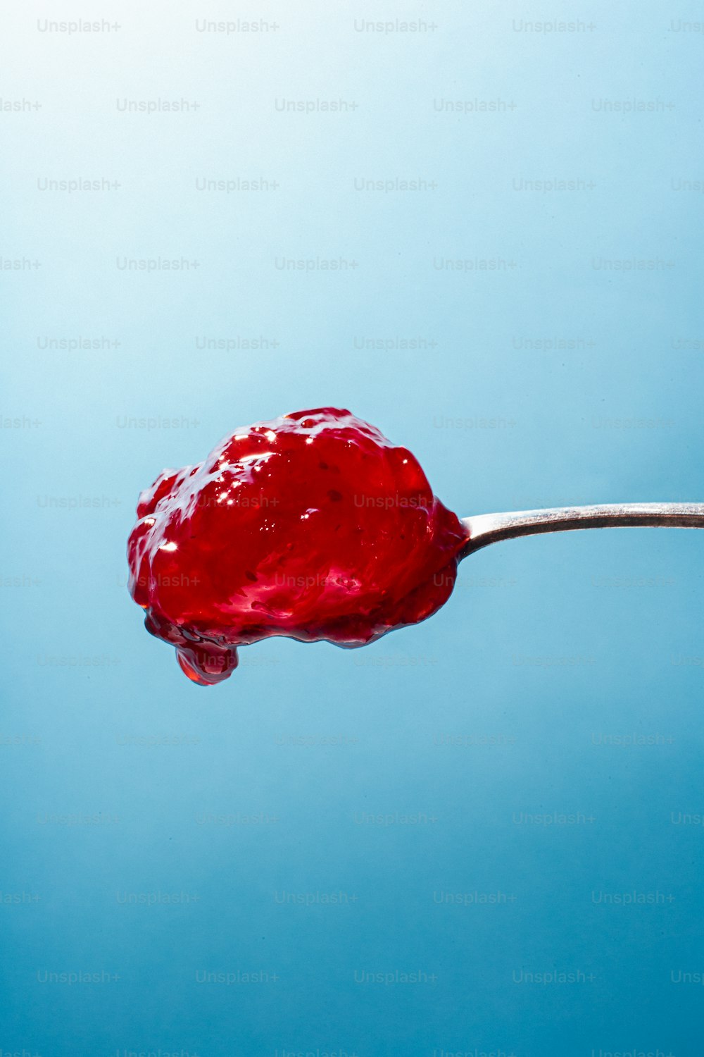 a red rose on a stick