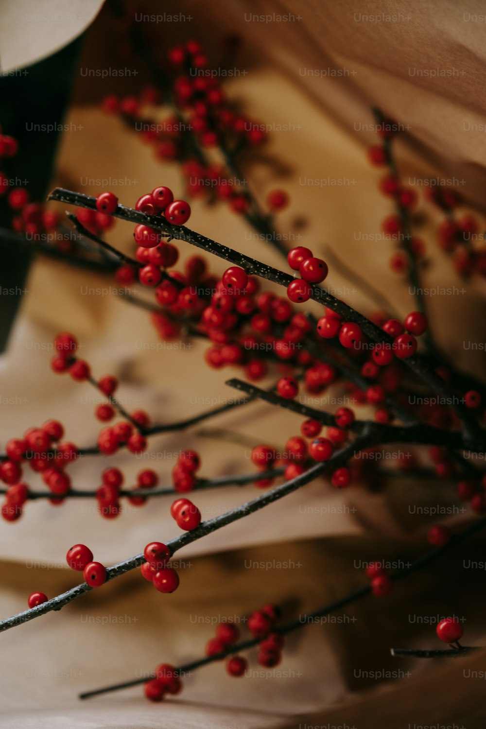 a necklace with red berries
