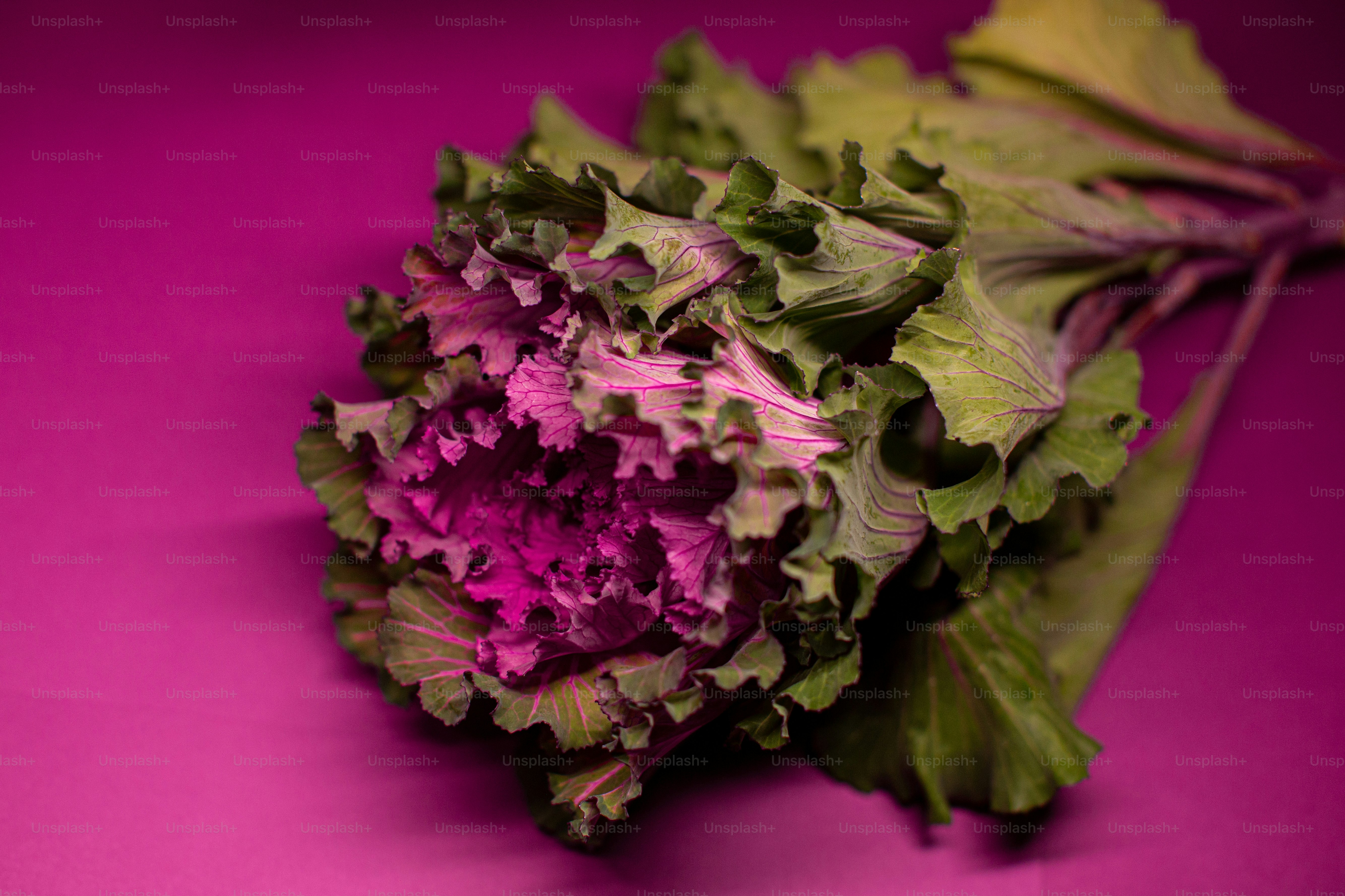Leafy Vegetable Pictures | Download Free Images on Unsplash