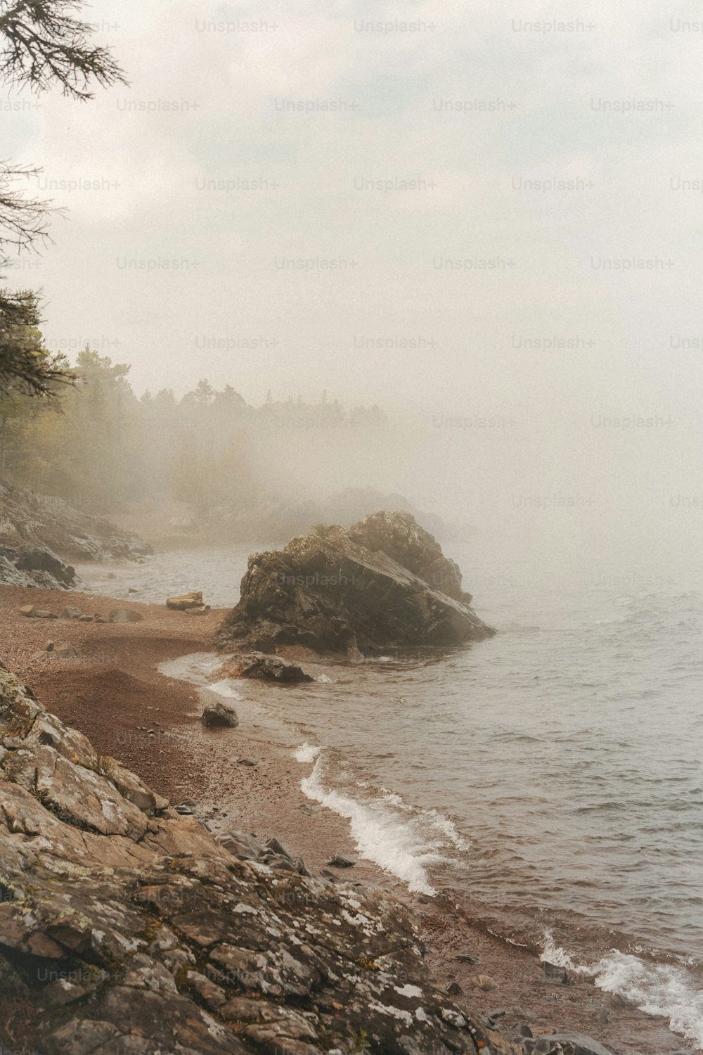 a rocky beach with trees and fog
