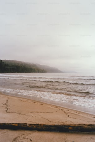 a beach with waves and a hill in the background
