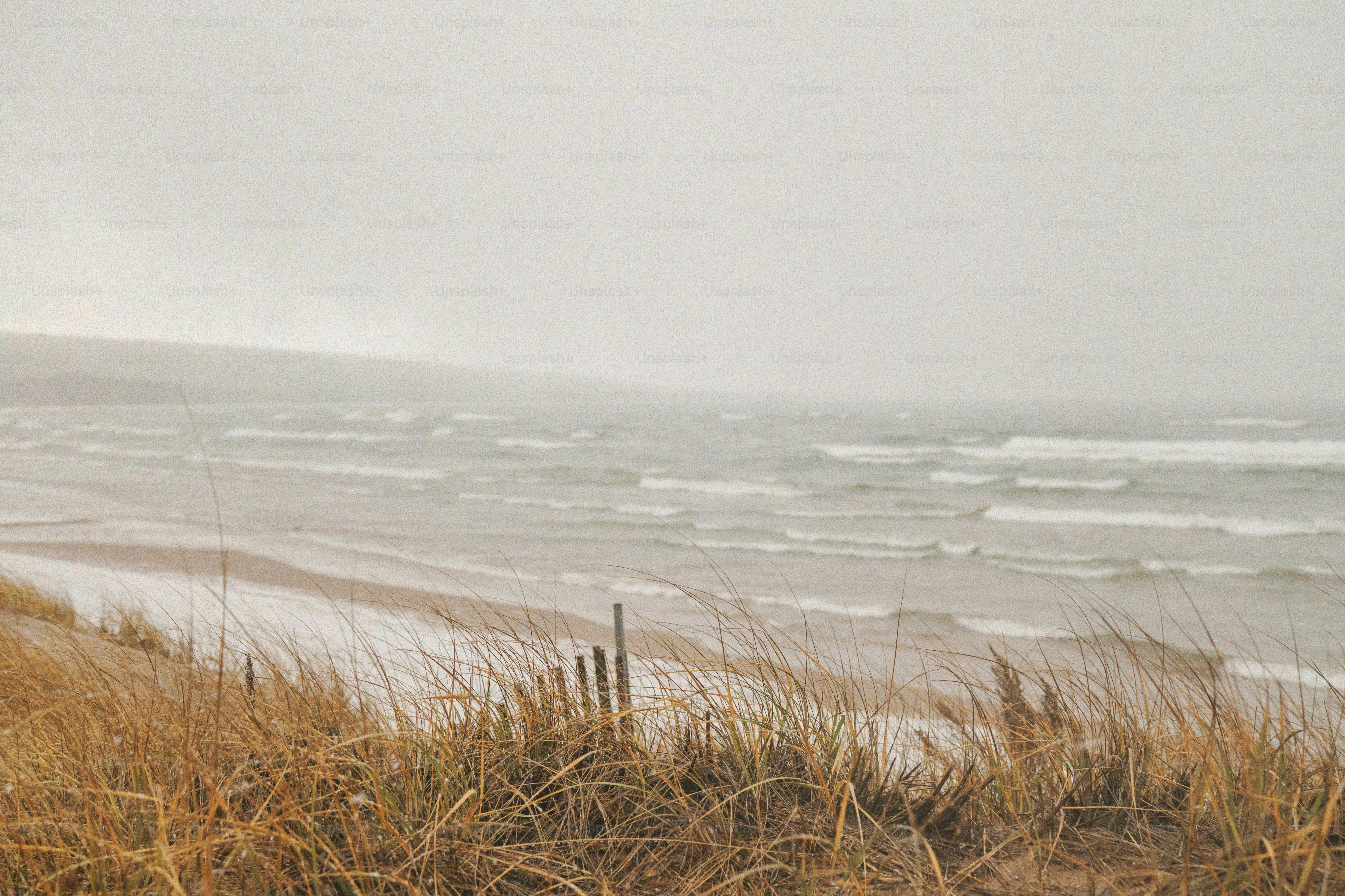 Una playa con olas rompiendo