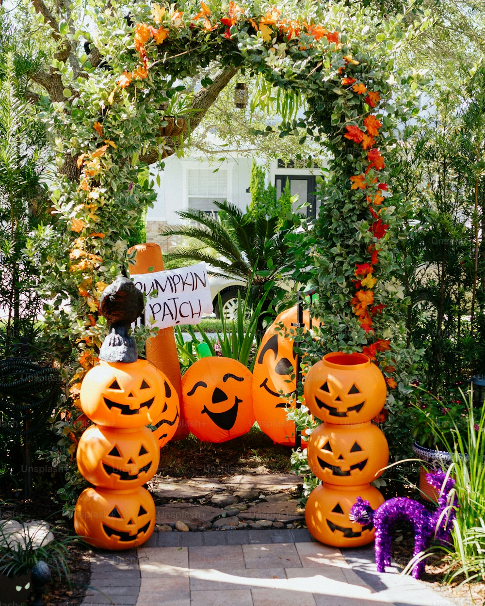 a group of pumpkins with faces carved into them