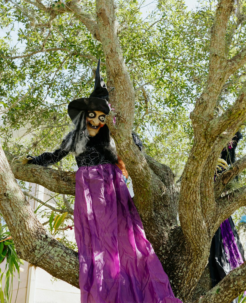 a person in a garment in a tree
