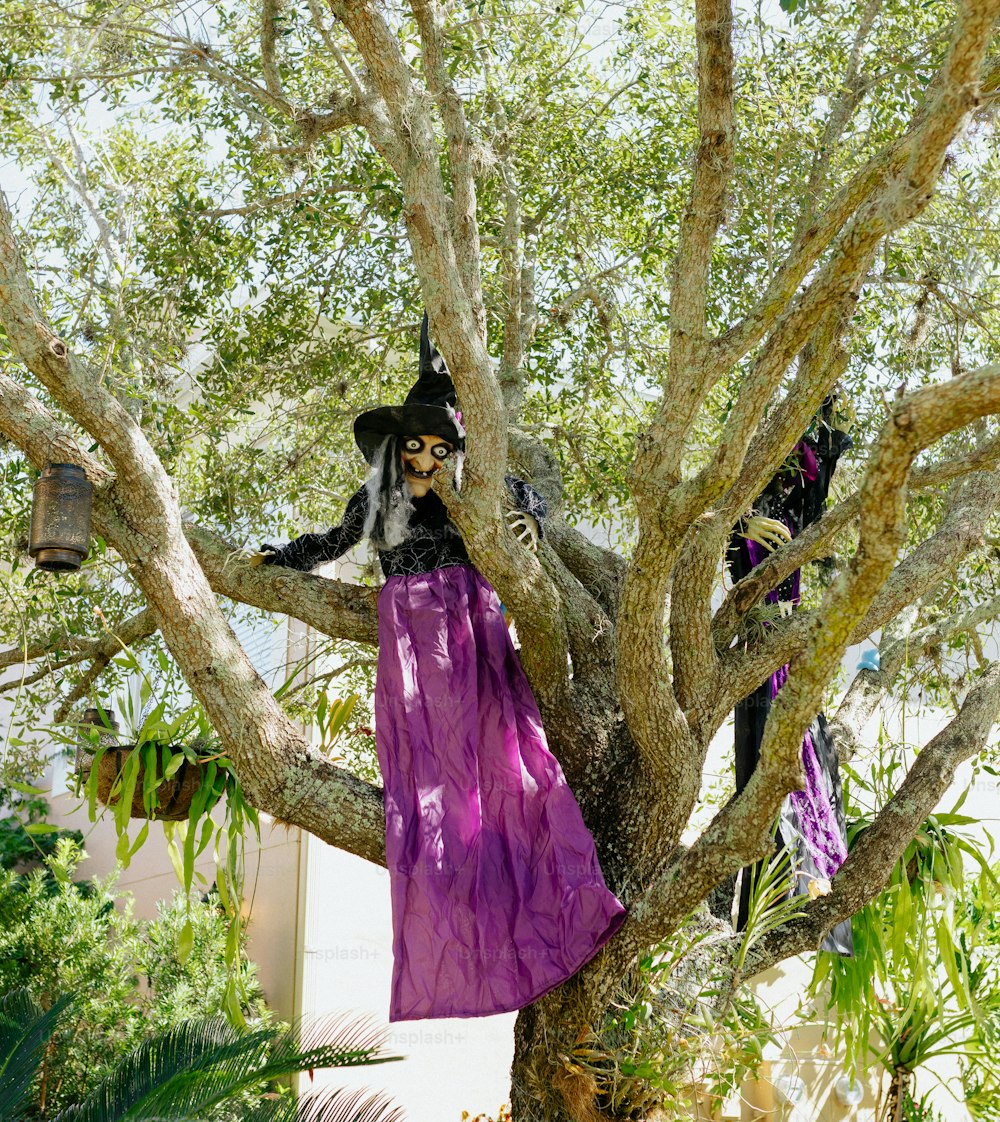 una persona con una prenda en un árbol
