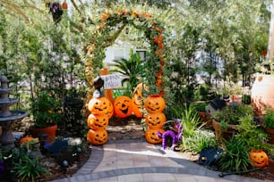 a garden with pumpkins