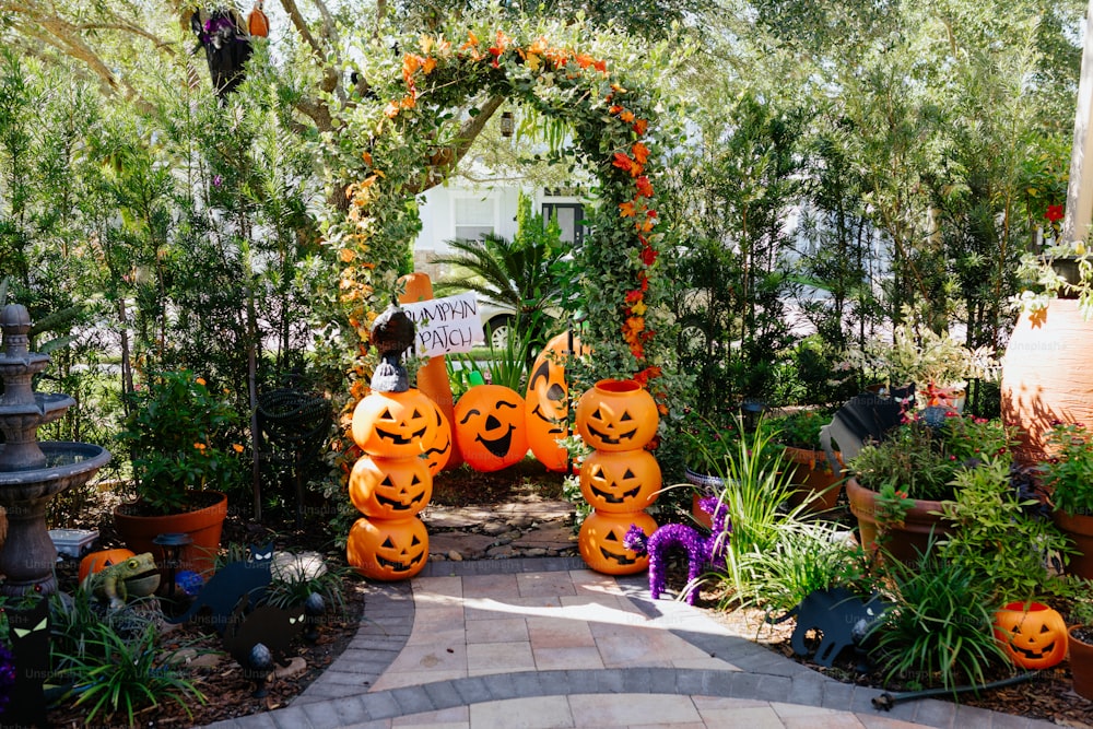 a garden with pumpkins