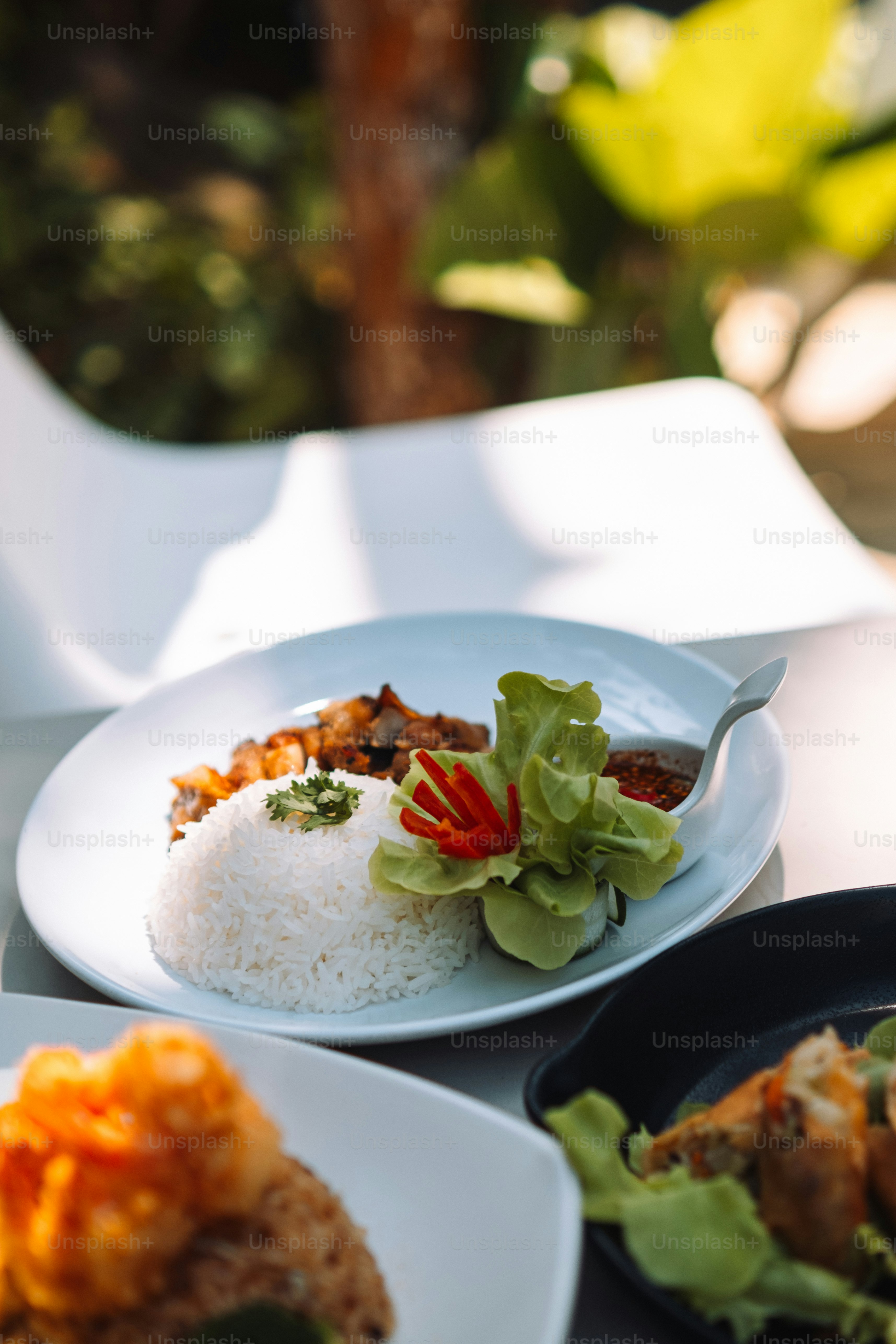 sepiring makanan