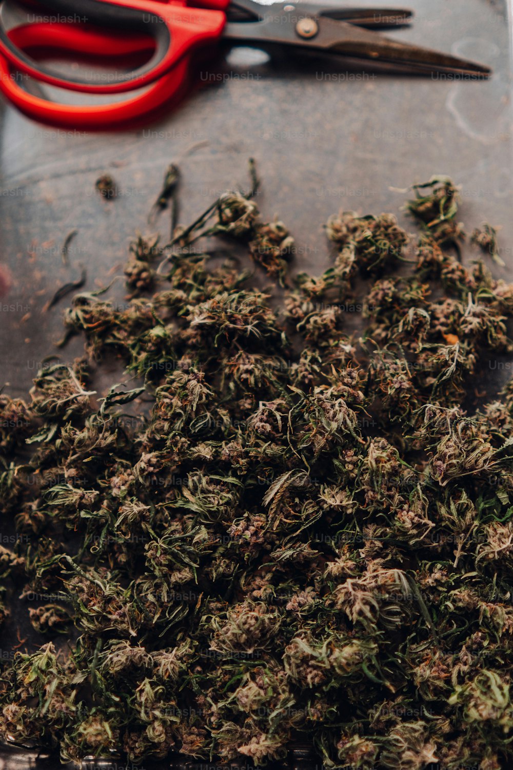a pile of marijuana