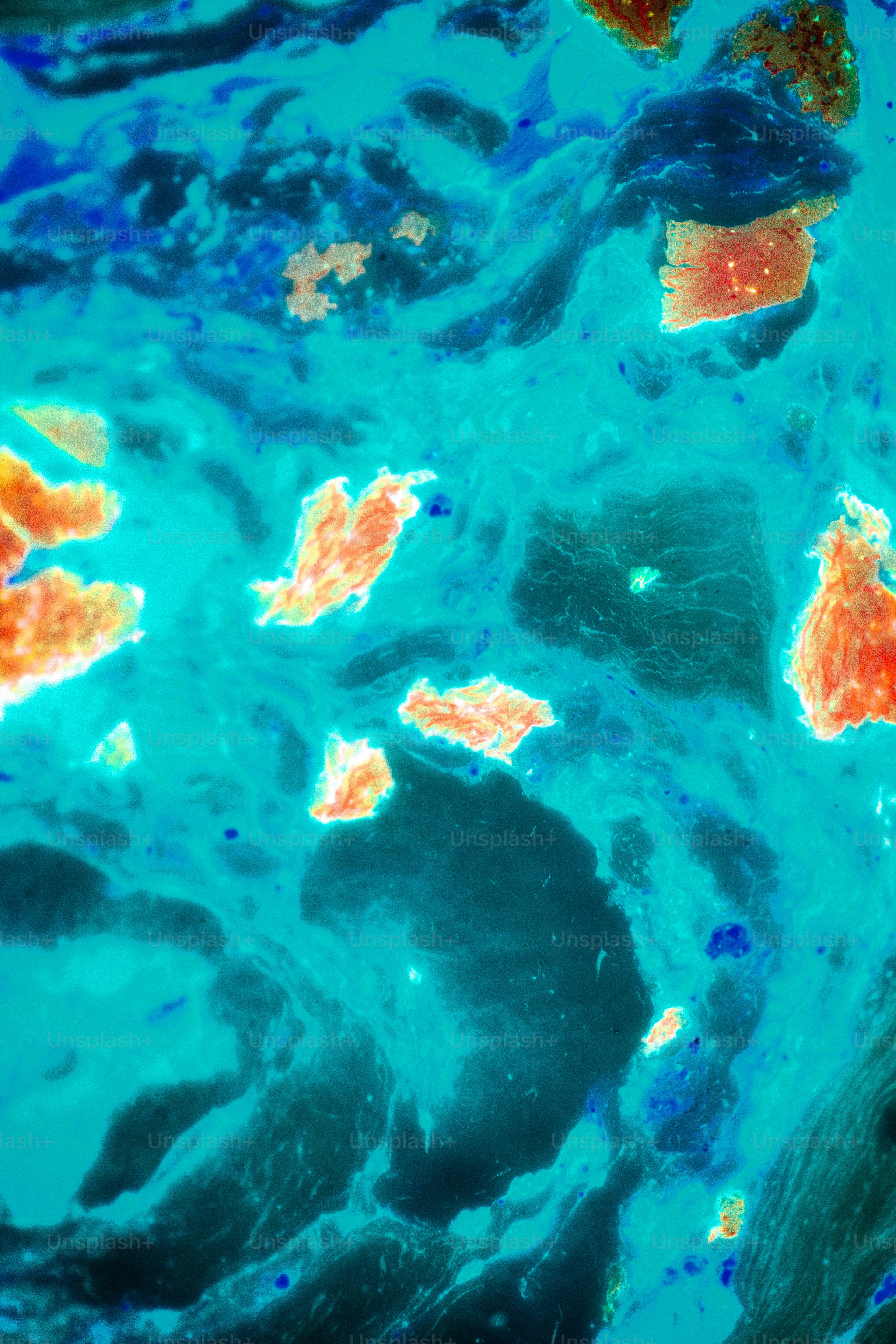 a close-up of some fish