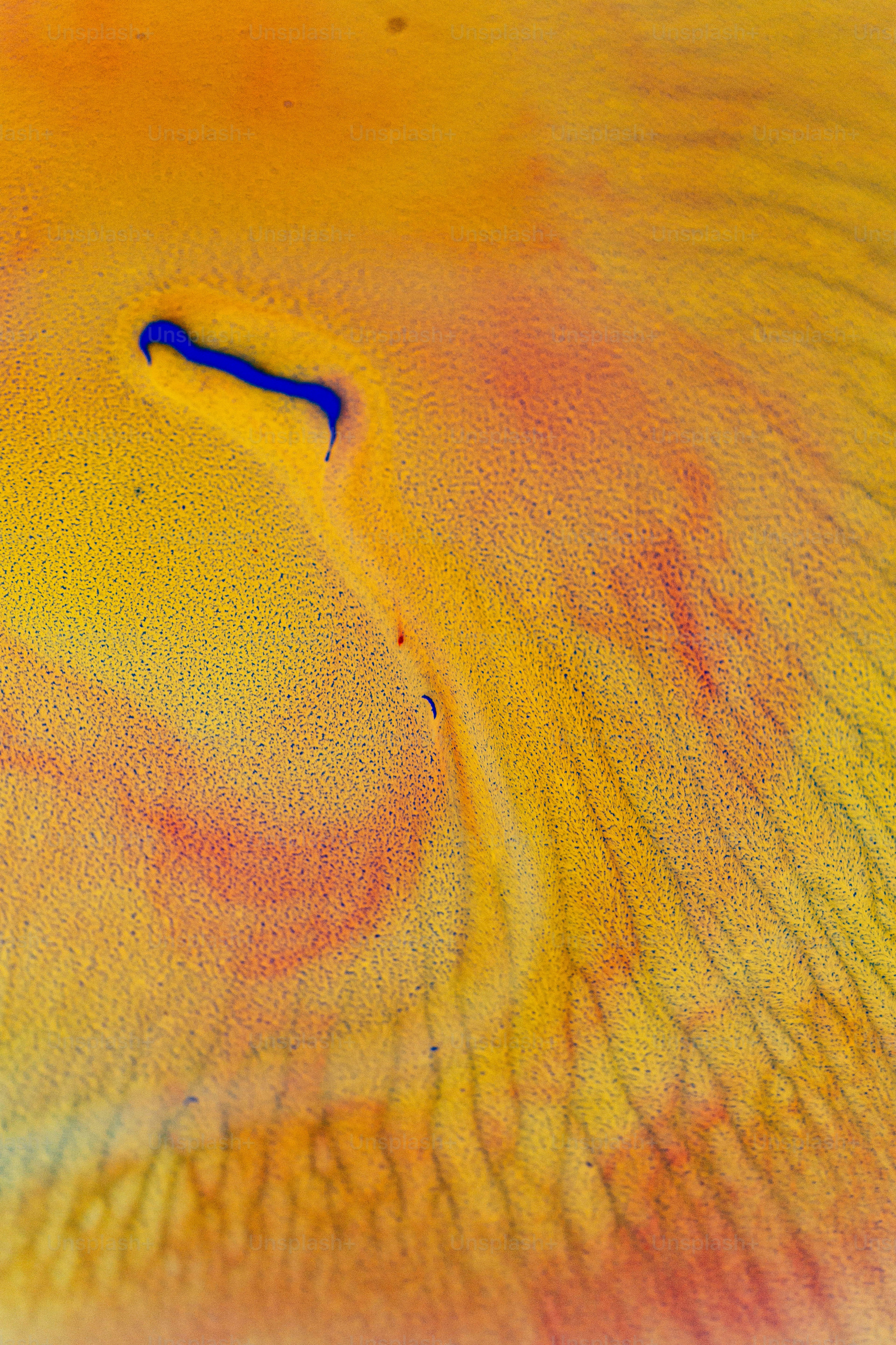 노란색과 파란색 꽃의 클로즈업