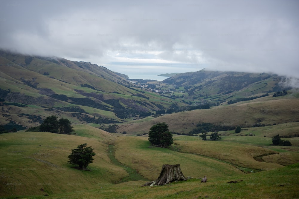 Une vallée herbeuse avec des arbres et des collines