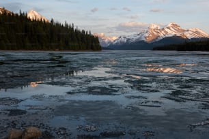 a lake with trees and mountains in the background