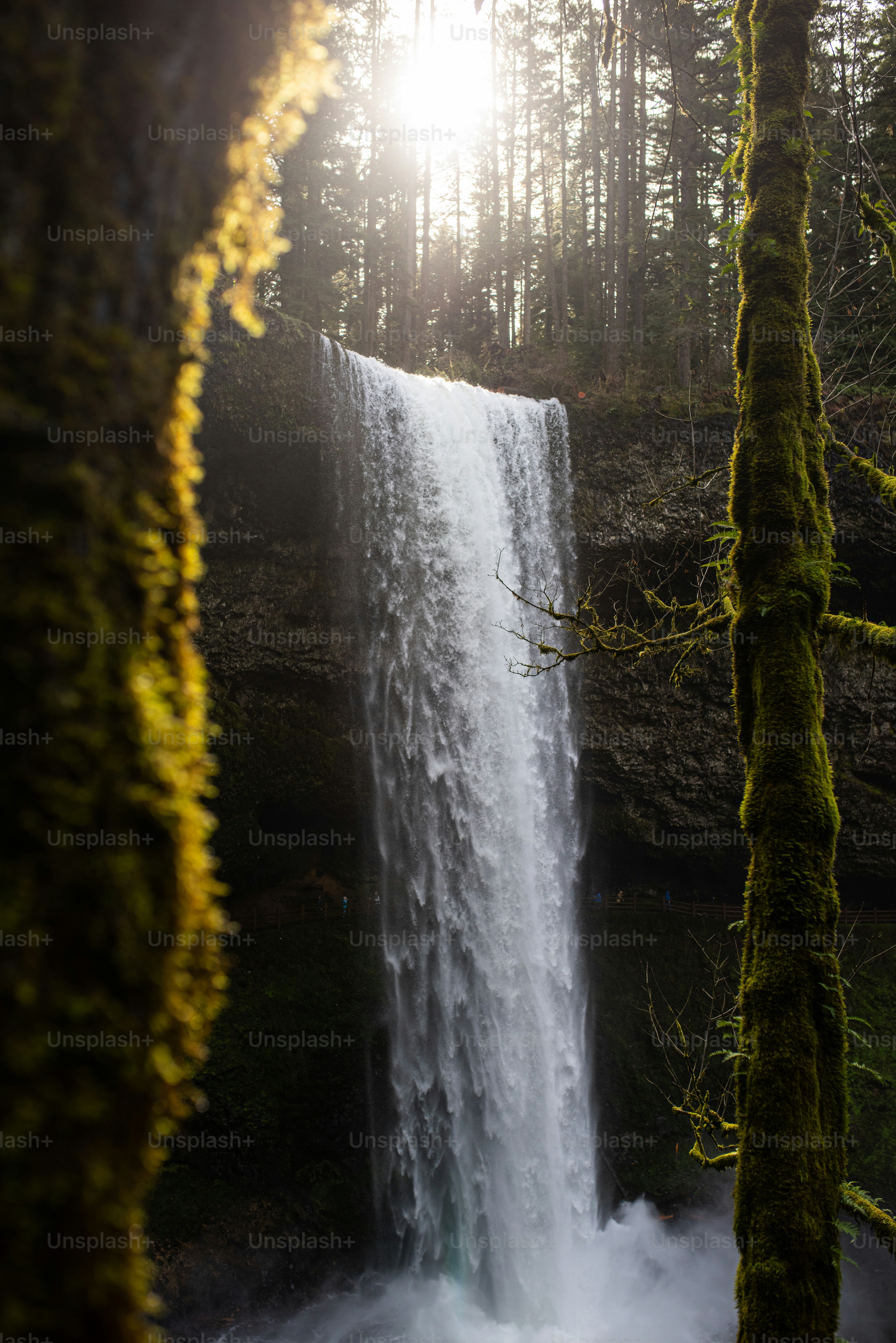 Beautiful Free Images & Pictures | Unsplash