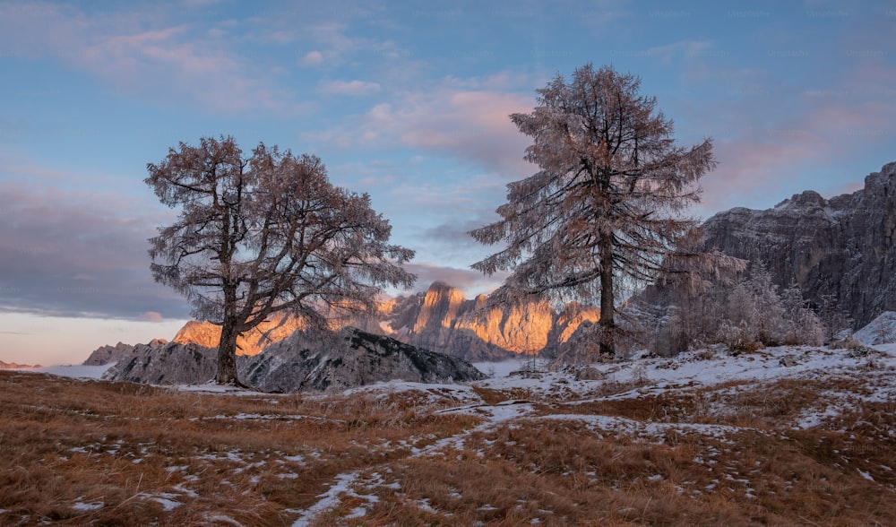 Eine verschneite Landschaft mit Bäumen und Bergen
