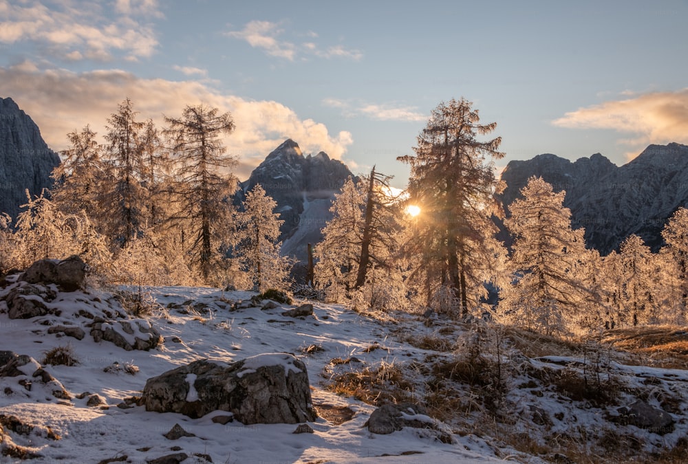 un paesaggio montano innevato