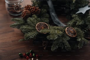 a pine tree with a pine cone