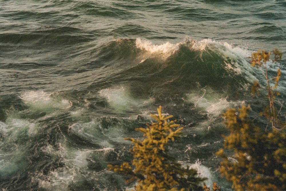una ola chocando contra una roca