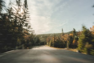 a road with trees on the side