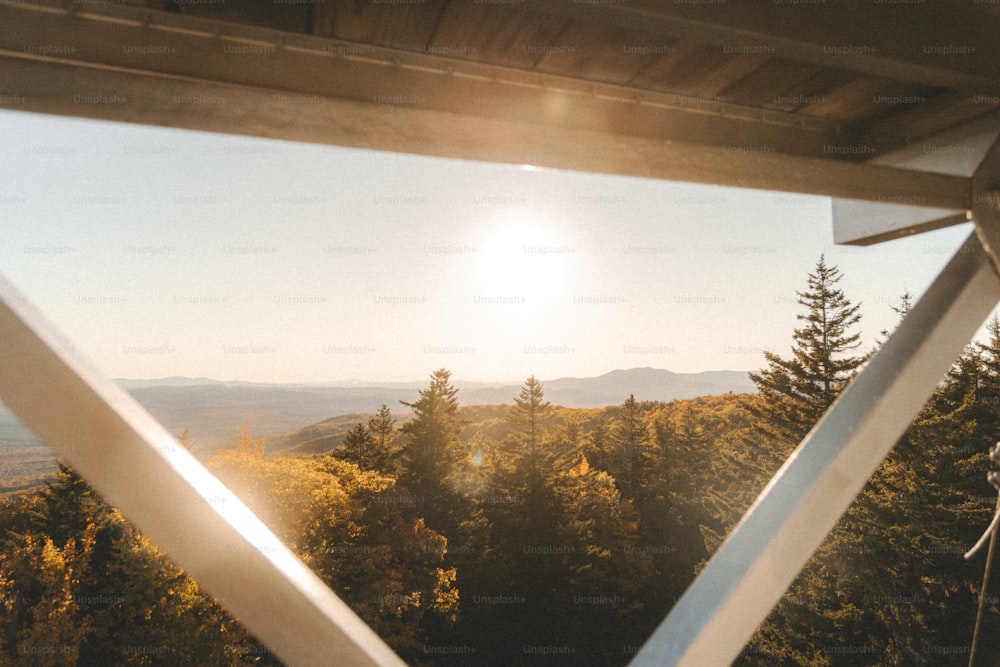 Blick auf die Sonne durch ein Waldfenster