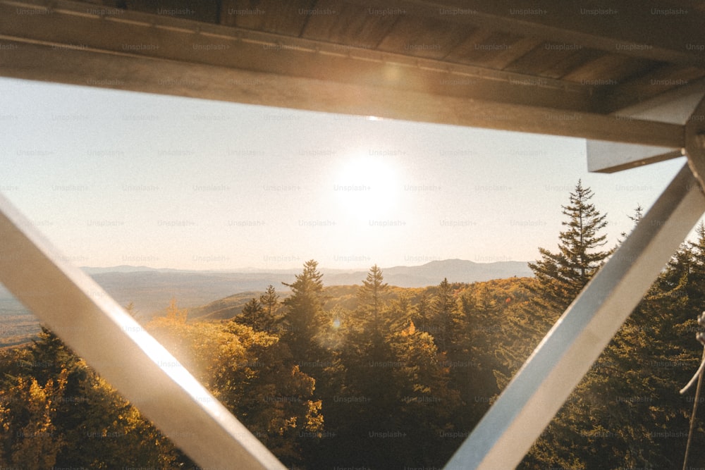 a view of the sun through a window of a forest