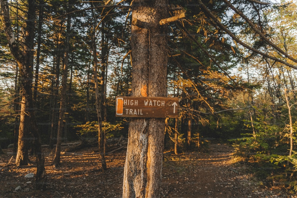 un signe sur un arbre