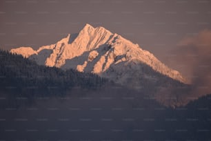 a snowy mountain with trees below