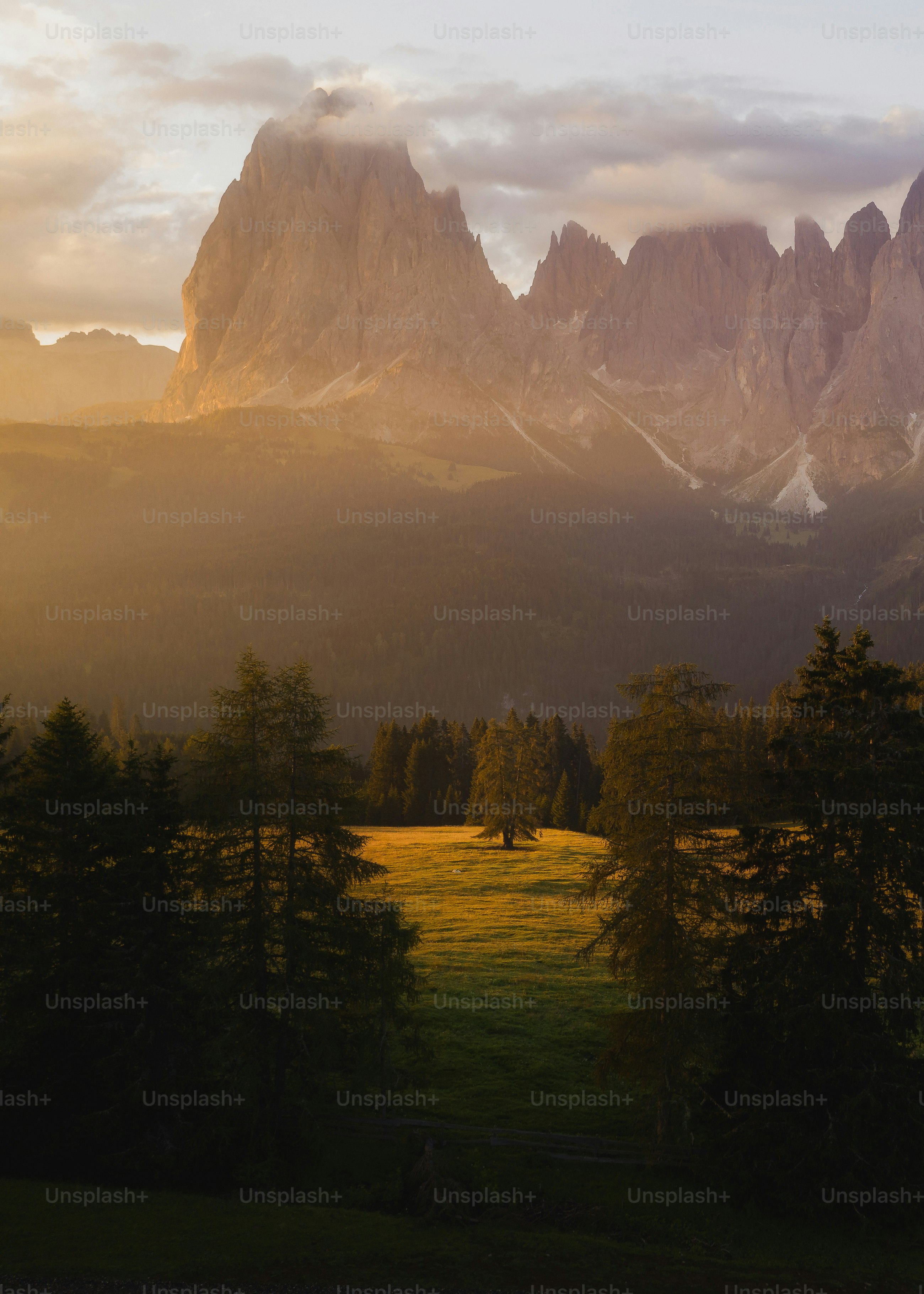 木々や山々を背景にした渓谷