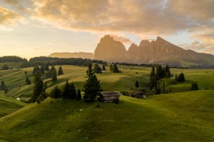 a grassy field with trees and mountains in the background